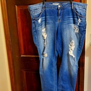 Torrid Jeans